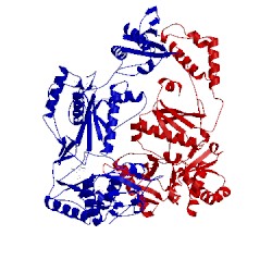 Image of CATH 1lw0