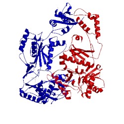 Image of CATH 1lw2