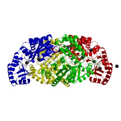 Image of CATH 1lw4