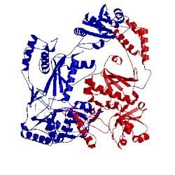 Image of CATH 1lwe