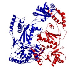 Image of CATH 1lwf