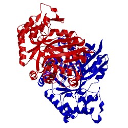 Image of CATH 1lwh