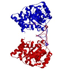 Image of CATH 1lwi