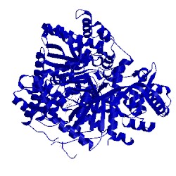 Image of CATH 1lwo