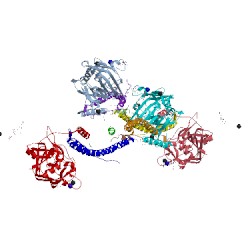 Image of CATH 1lwu