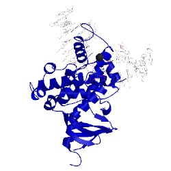 Image of CATH 1lwv