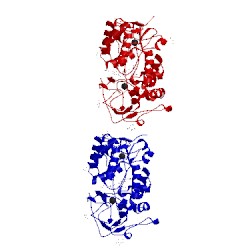 Image of CATH 1ly8