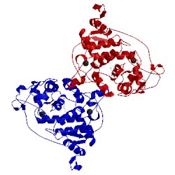 Image of CATH 1ly9