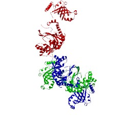 Image of CATH 1lyl