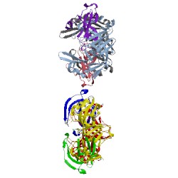 Image of CATH 1lyw