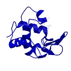 Image of CATH 1lzb