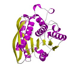 Image of CATH 1lzlA