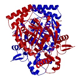 Image of CATH 1lzz