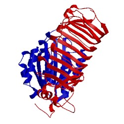 Image of CATH 1m10