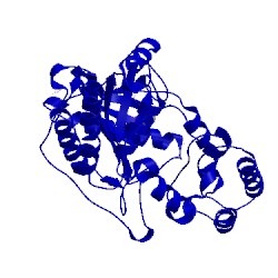 Image of CATH 1m15