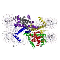 Image of CATH 1m18