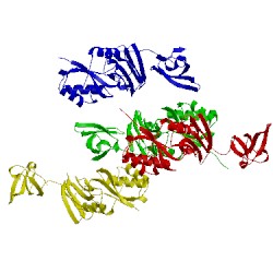 Image of CATH 1m1g