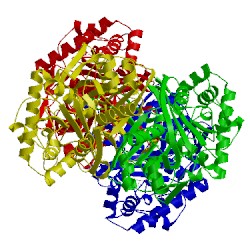 Image of CATH 1m1o