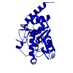 Image of CATH 1m2g