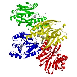 Image of CATH 1m2x