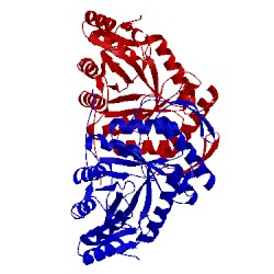 Image of CATH 1m41