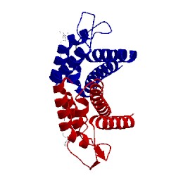 Image of CATH 1m48