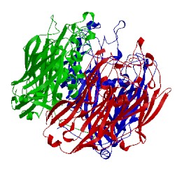 Image of CATH 1m4x