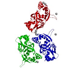 Image of CATH 1m5e