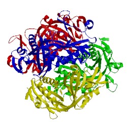 Image of CATH 1m5s