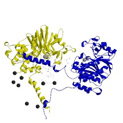 Image of CATH 1m63