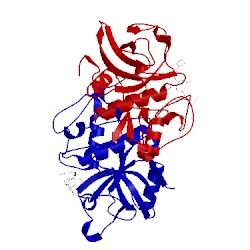 Image of CATH 1m6d