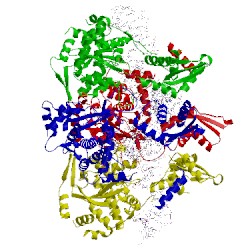 Image of CATH 1m6x