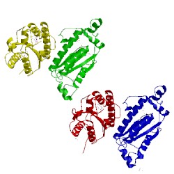 Image of CATH 1m7g