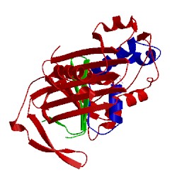 Image of CATH 1m93
