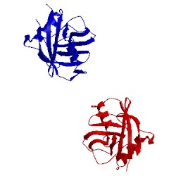 Image of CATH 1m9f