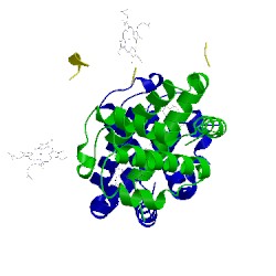 Image of CATH 1m9p