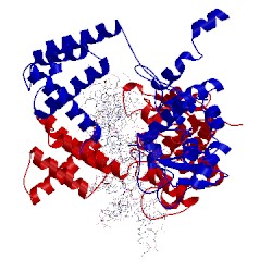 Image of CATH 1ma7