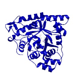 Image of CATH 1mar