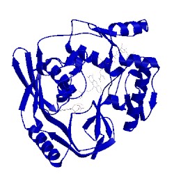 Image of CATH 1mbb