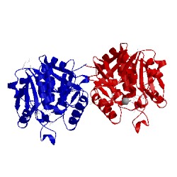 Image of CATH 1mc3