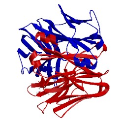 Image of CATH 1mcf