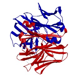 Image of CATH 1mch