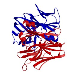 Image of CATH 1mci