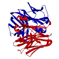 Image of CATH 1mcq