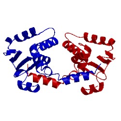 Image of CATH 1md0