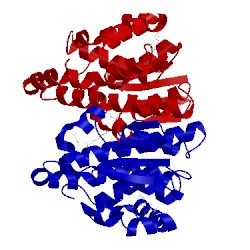 Image of CATH 1md3