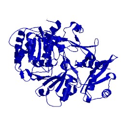 Image of CATH 1mdf