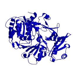 Image of CATH 1mdf