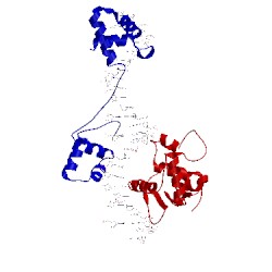 Image of CATH 1mdm