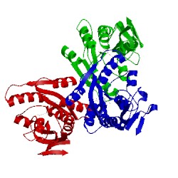 Image of CATH 1men